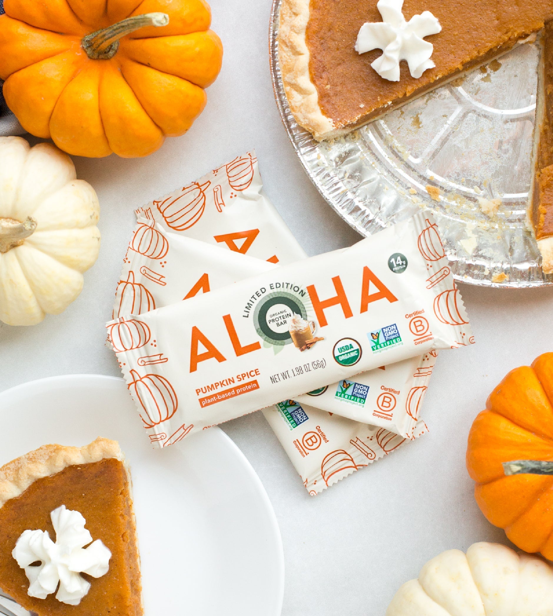 Pumpkin Spice - Protein Bars