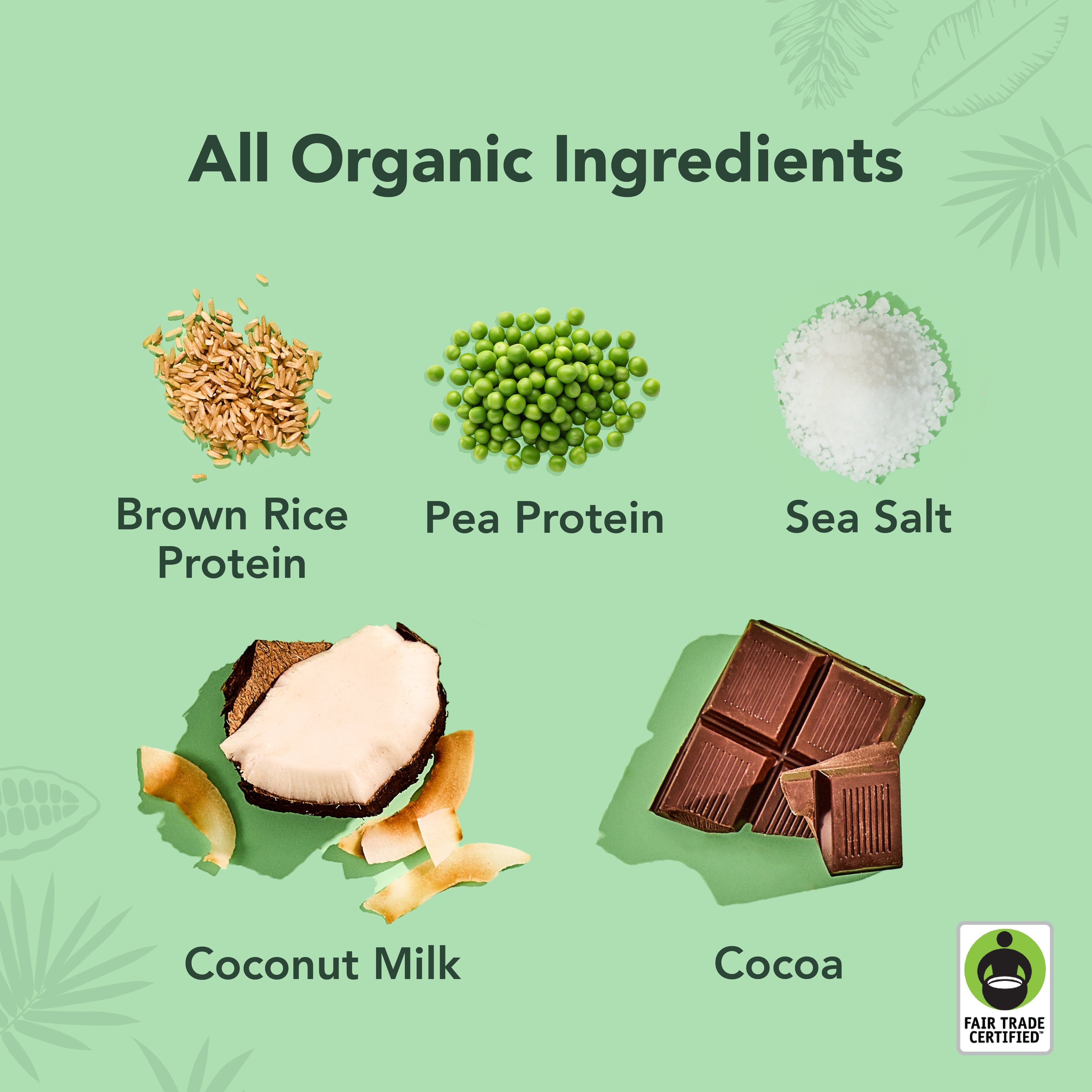 Chocolate Sea Salt - Protein Drinks (Out of Stock)