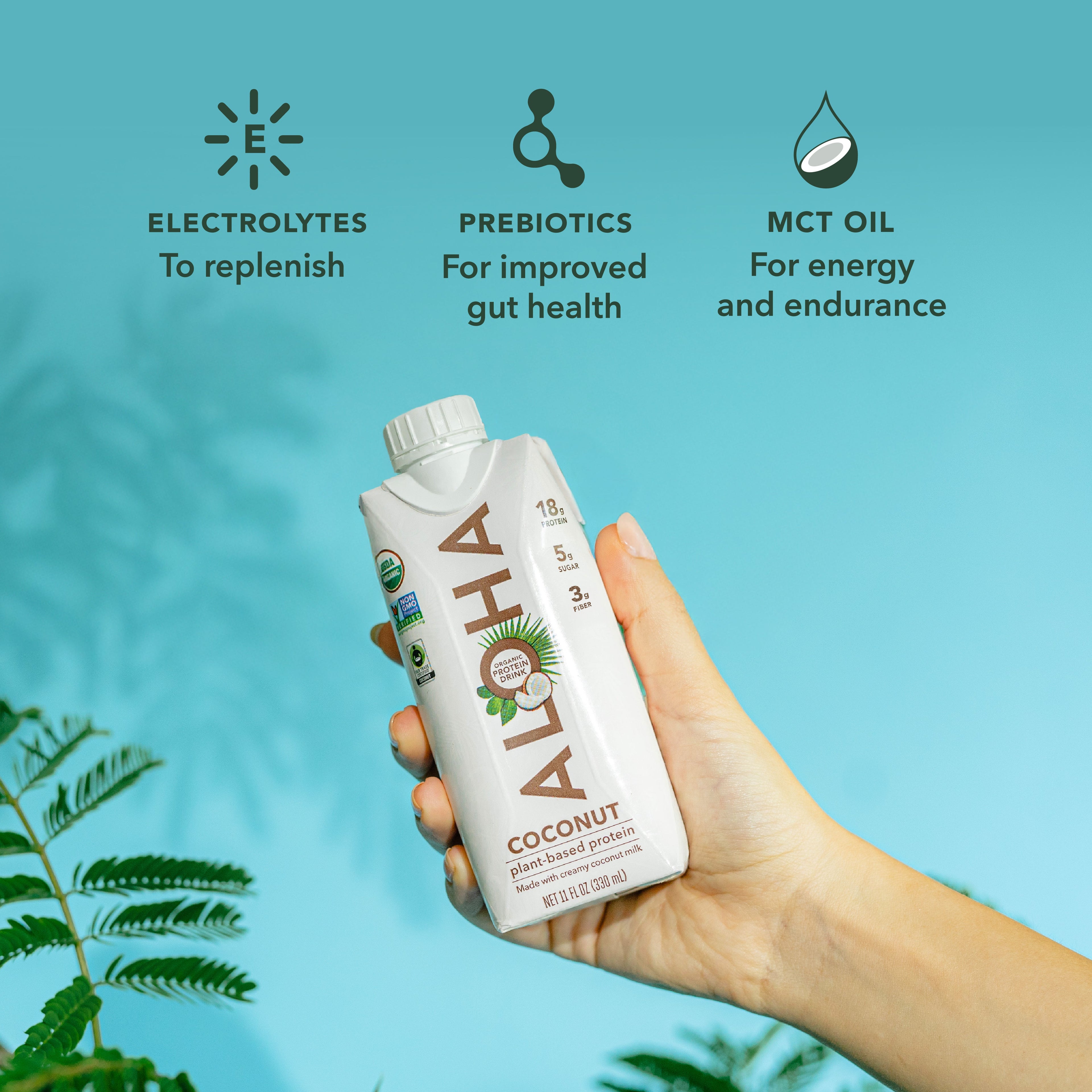 Coconut - Protein Drinks